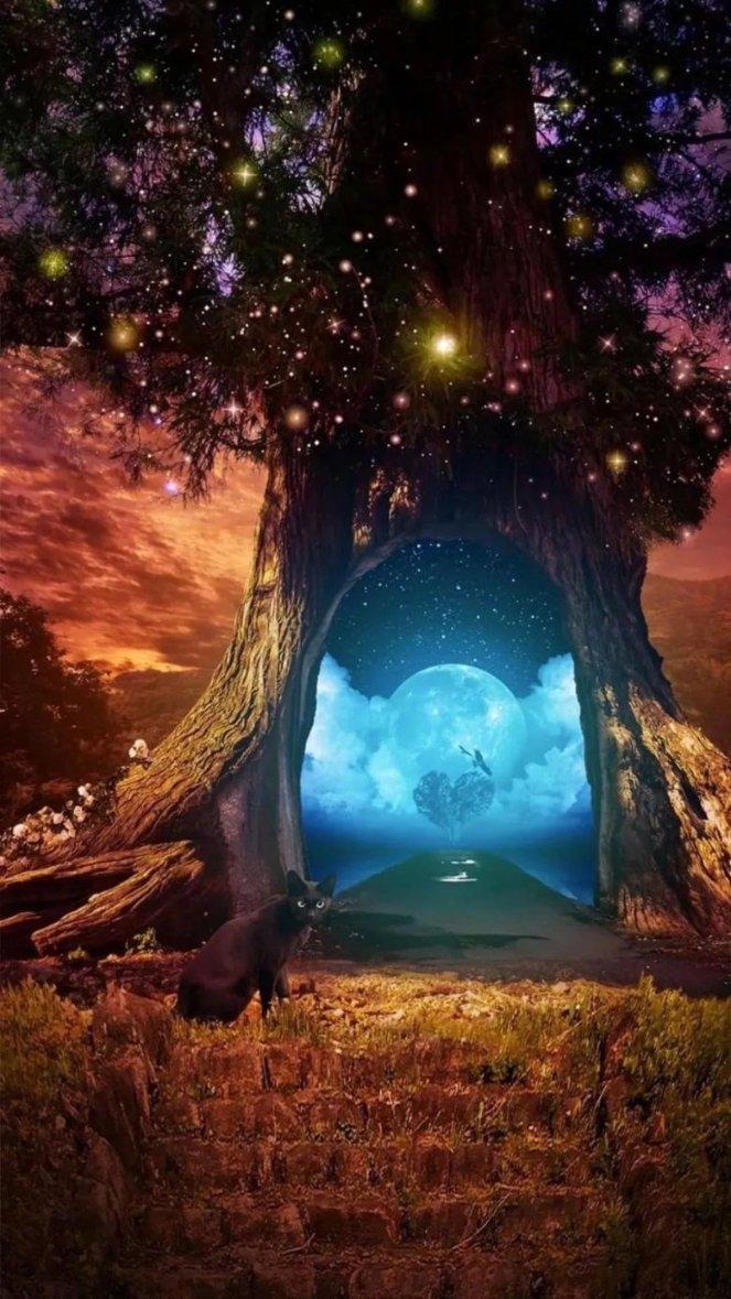 逃离奇幻仙境
